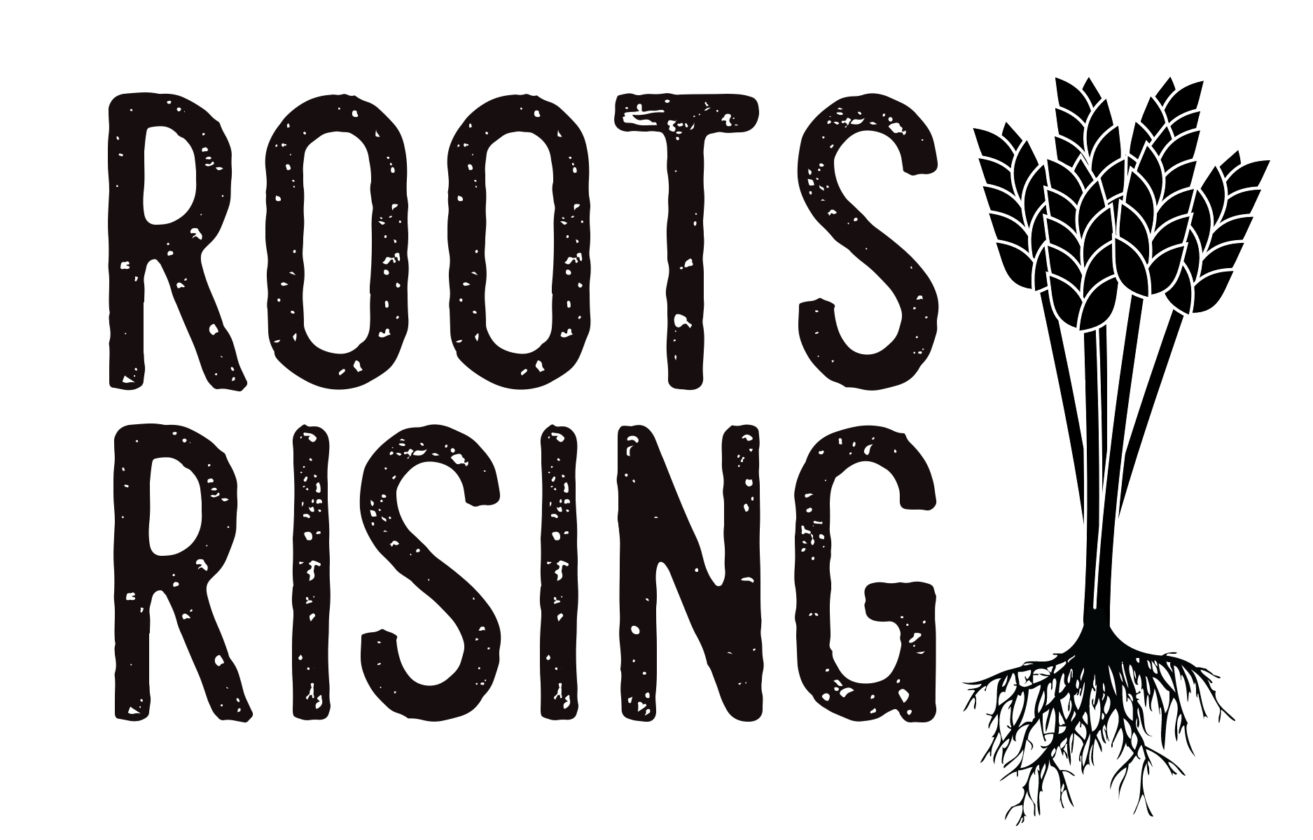Rising Roots Program Program Coordinator - Roots Rising